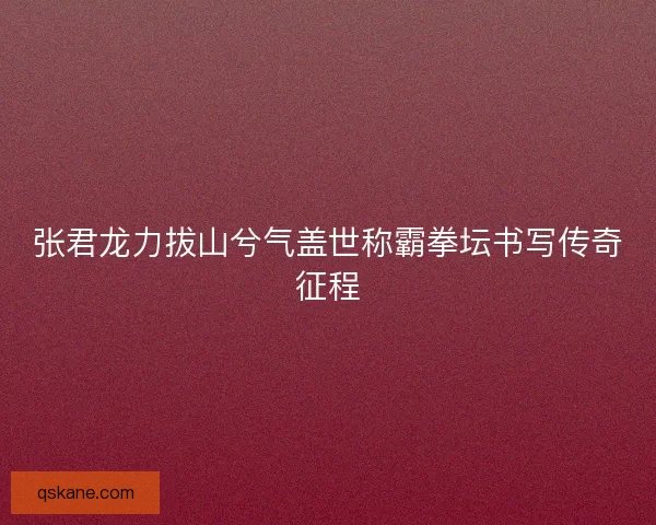 张君龙力拔山兮气盖世称霸拳坛书写传奇征程